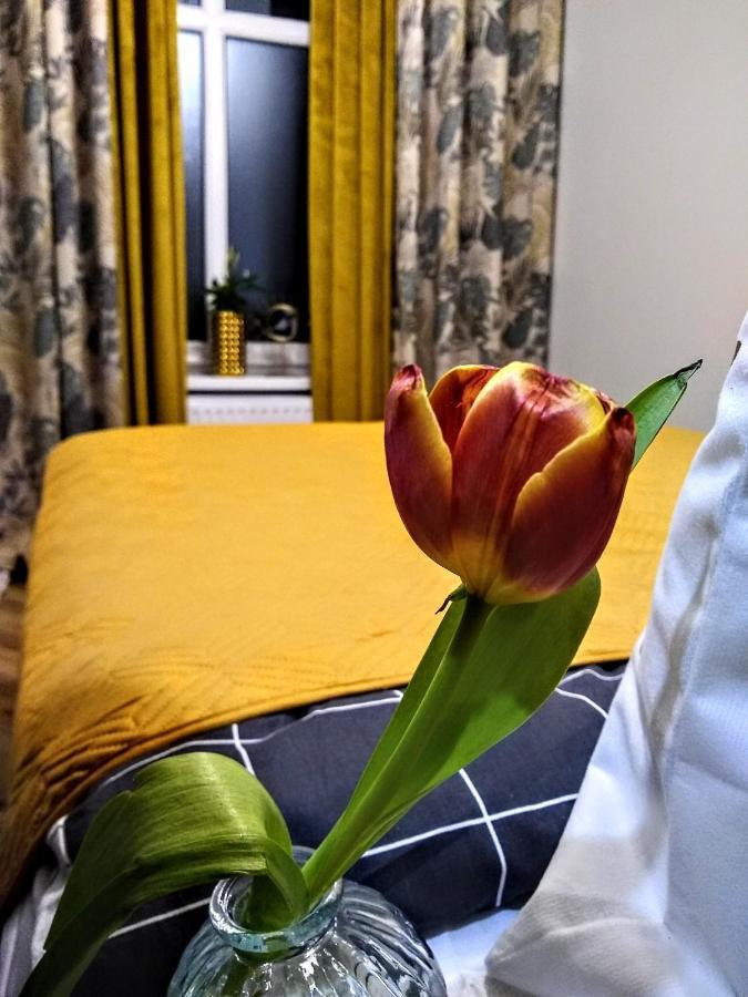 EvitaWita nr2 i nr3 Słowackiego 50mGaleria Katowice Zewnętrze zdjęcie